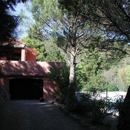 Chambres D'Hote L'Amandiere A Cucugnan Buitenkant foto